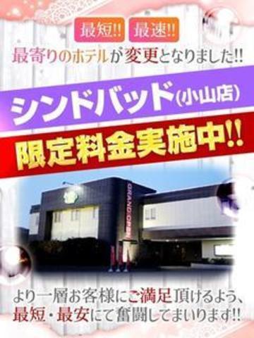 栃木のおすすめ痴漢プレイ風俗店 | アガる風俗情報