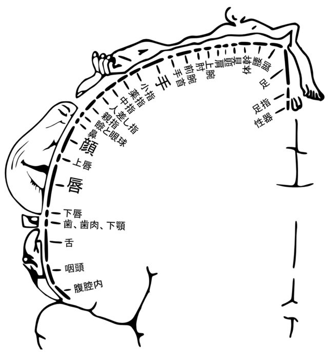 男の乳首開発に全集中！とっておきの5つの方法や乳首開発の注意点も！ | Trip-Partner[トリップパートナー]