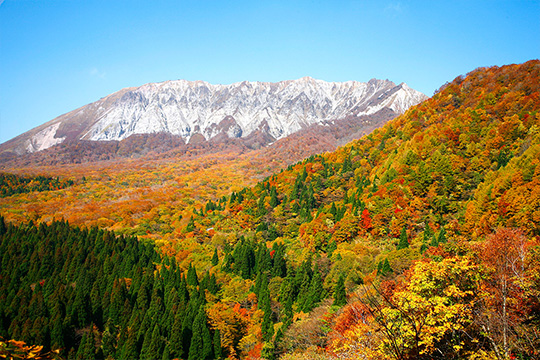 2024-11-6大山登山 – ゆうかり保育園