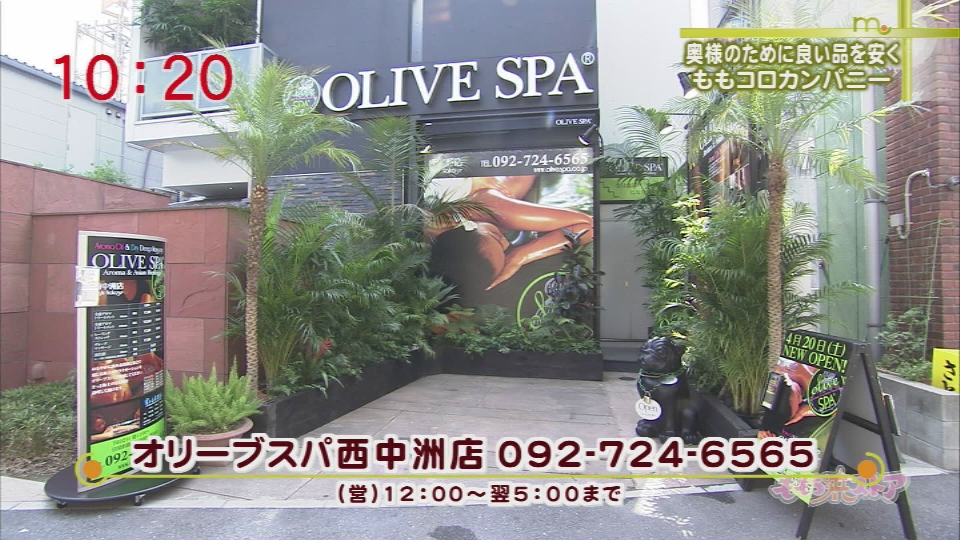 ShopNews | OLIVESPA〔オリーブスパ〕 |