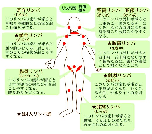 お風呂でリンパマッサージ」を監修しました。｜メディア紹介｜銀座ナチュラルタイム-銀座駅から徒歩1分の極上リンパマッサージ