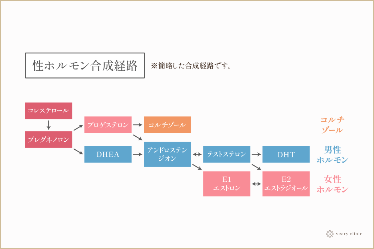 【筋トレ科学】女性が性的に興奮する筋肉TOP5　~女性の本能を刺激する筋肉と身体の作り方~