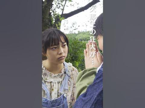 Amazon.co.jp: しばいぬ子さん 【DVD】 :