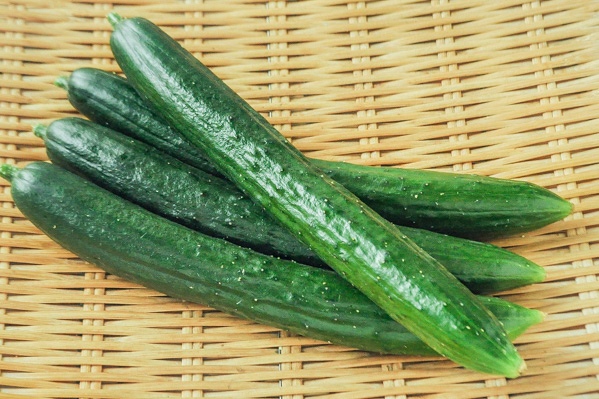 夏すずみ🥒きゅうり 種からの栽培👩‍🌾｜🍀GreenSnap（グリーンスナップ）