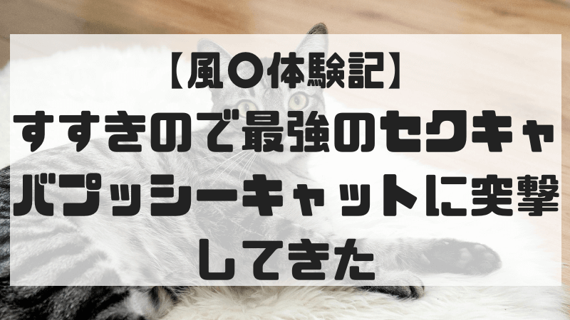 札幌すすきのヘルス「プッシーキャット」の体験談・口コミ① │ すすきの浮かれモード