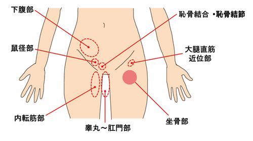 鹿→歯科というお告げに従ったら地獄を見たという話 : F.T.WrecordのVibration