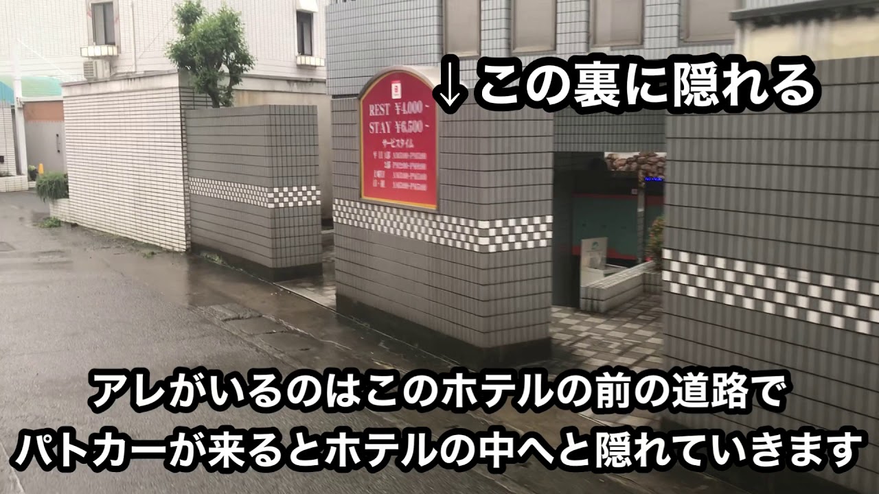 冒頭にハプニング！スマホ落ちたか？「南越谷合同連 」堀切かつしか菖蒲まつりとJAPAN FESTA2019（2022.4.13）