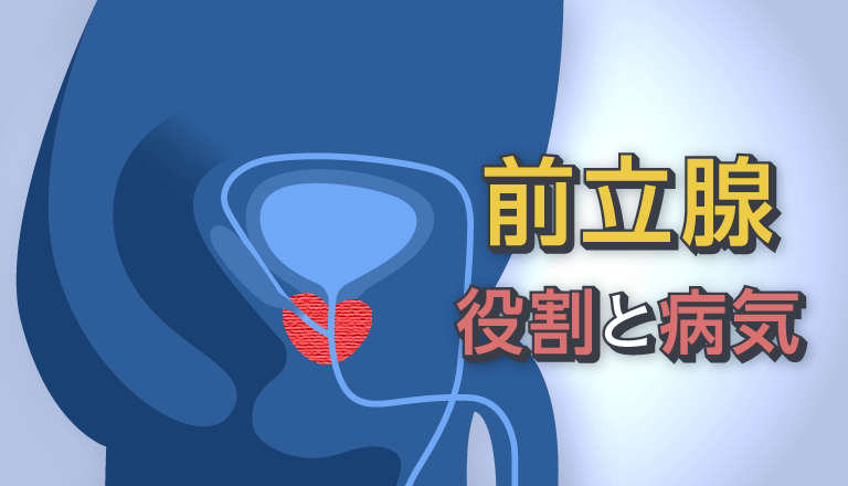 毎回、楽しく講師の私自身も勉強になる前立腺開発講習やって来た！の巻 : † Another