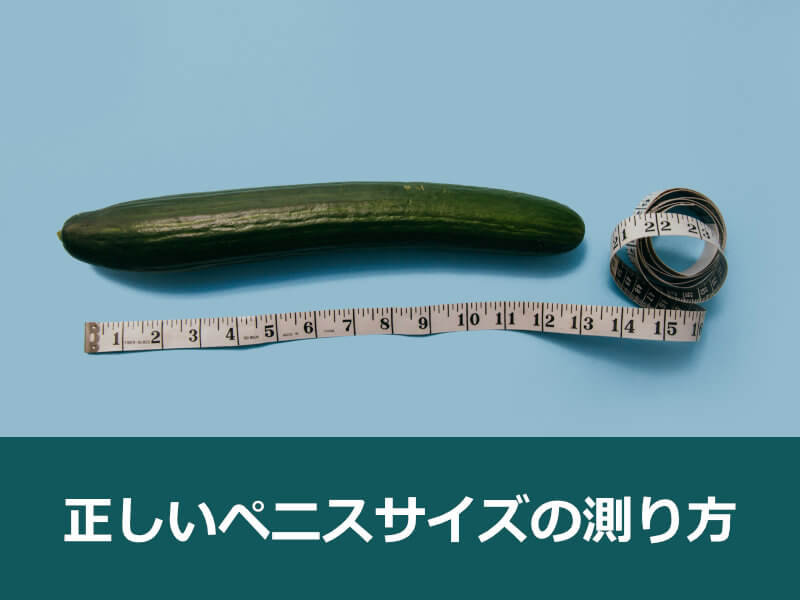 ペニスの大きさ平均は13cm！女性の理想サイズはさらにデカい！？｜薬の通販オンライン