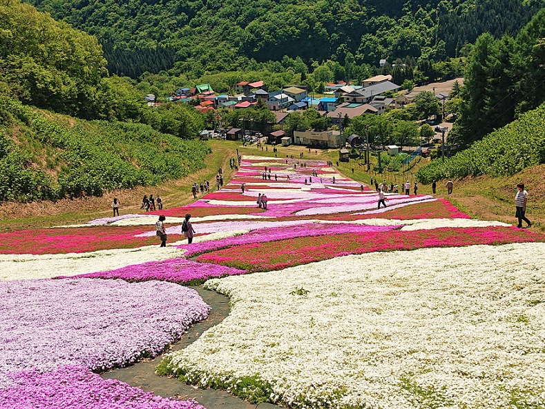 ハプニング バー 福岡