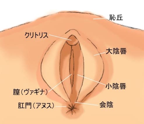 Amazon | アナルバイブ アナルプラグ 【菊門覚醒！】前立腺直撃