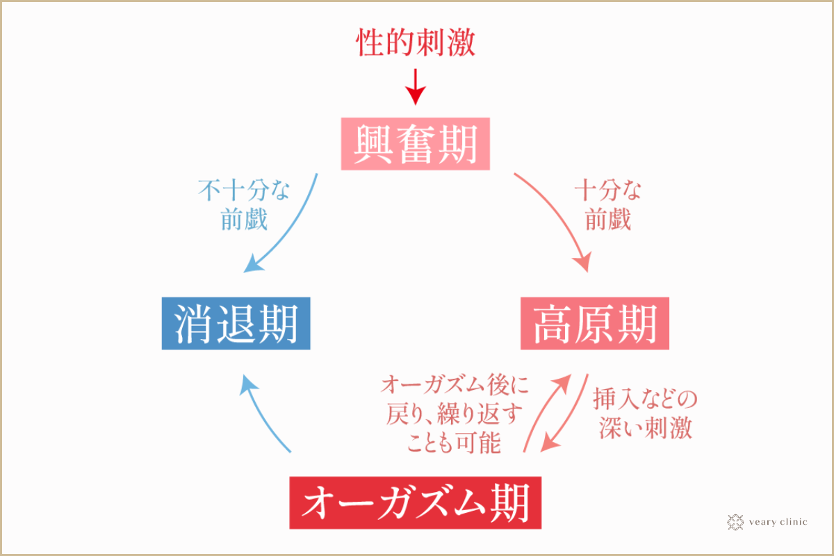 まんこ（女性器）の７つの性感帯攻略マニュアル | セクテクサイト