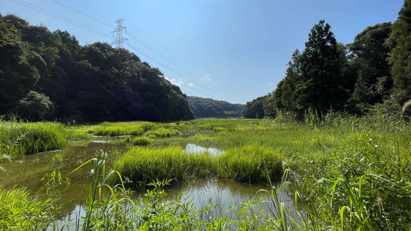 豊田の愛知県緑化センター・昭和の森周辺のホテル【2024おすすめ旅館・宿】 | Trip.com