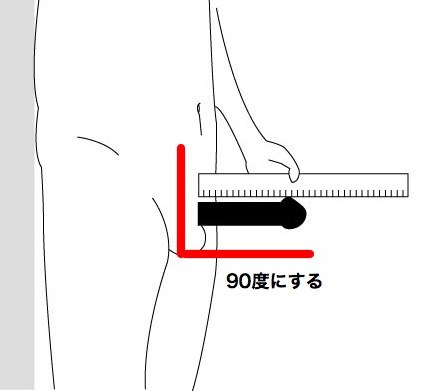 ペニスの長さ・太さサイズを一発診断！【トイレットペーパーの芯】 | セクテクサイト