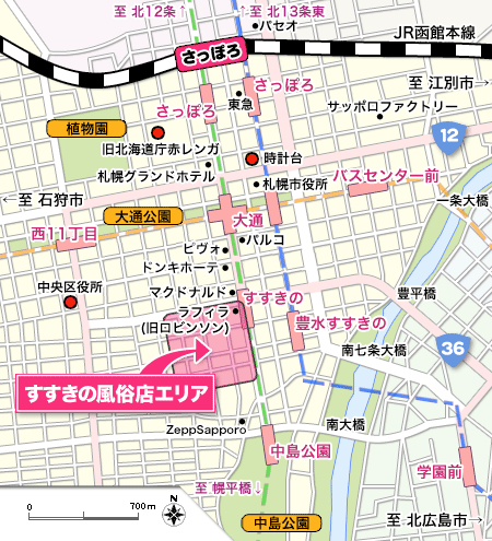 おすすめ】札幌・すすきののデリヘル店をご紹介！｜デリヘルじゃぱん