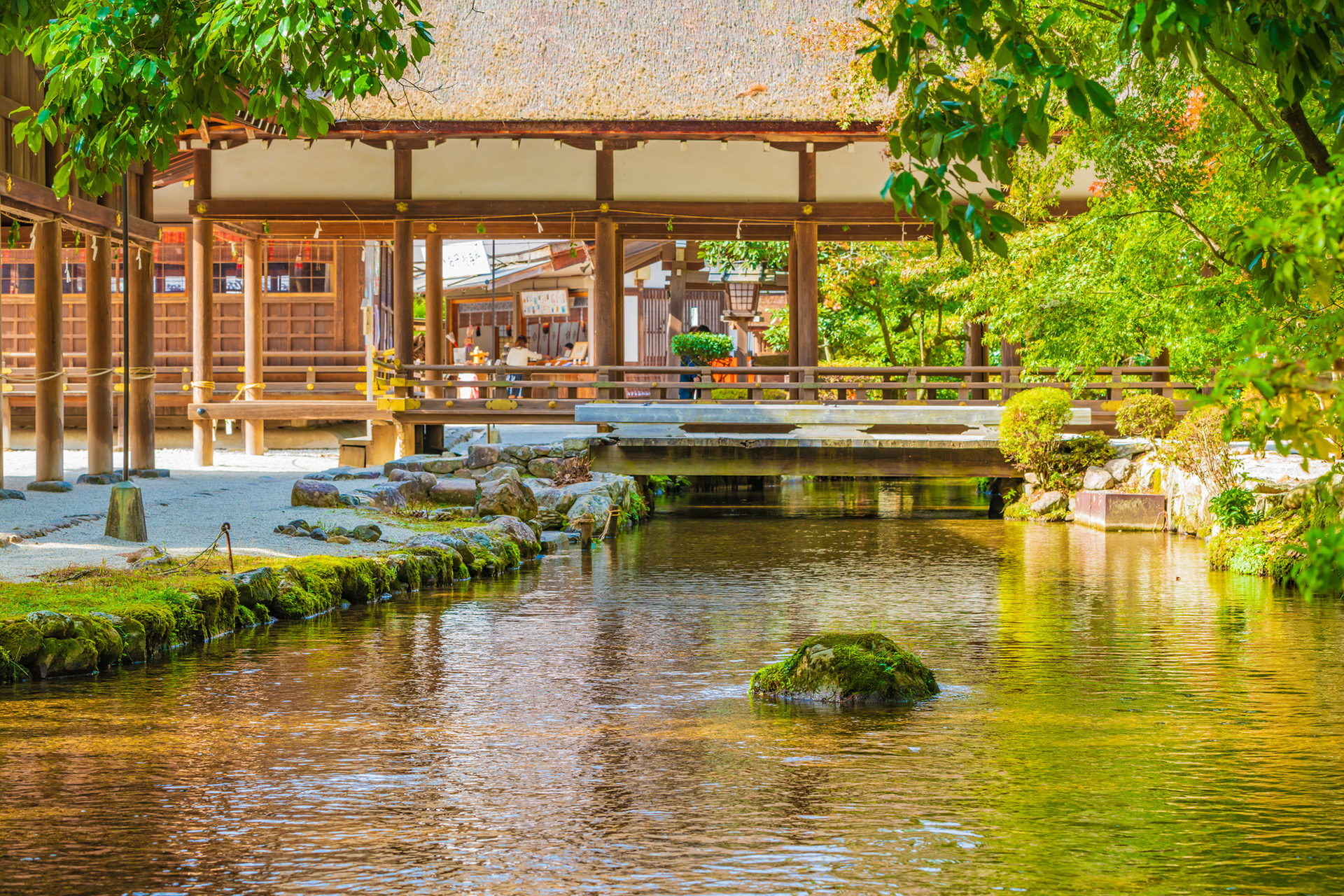 夏の匂いを感じる贅沢旅行。“初夏の京都旅”でおすすめのスポット11選 | RETRIP[リトリップ]