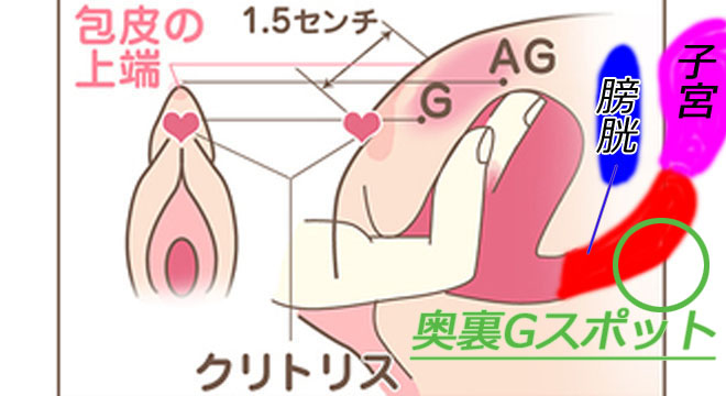 中イキのやり方！女性がイク理由～【医師監修】 - 夜の保健室