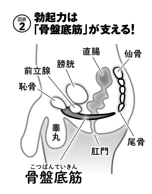 【あと５分、射精を我慢できるコツ ～今すぐできる早漏タイプ別解決策～女医　富永喜代のセックスオンライン講座】