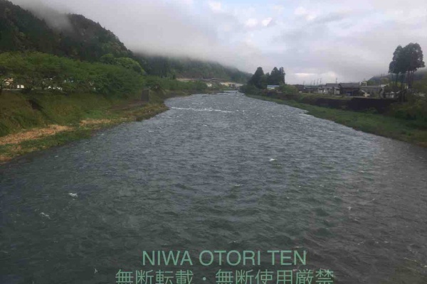 9月22日 郡上大和長良川の様子 : 丹羽オトリ店のブログ