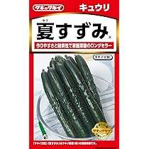 夏すずみ胡瓜 – 商品別育て方情報【ニチノウのタネ】