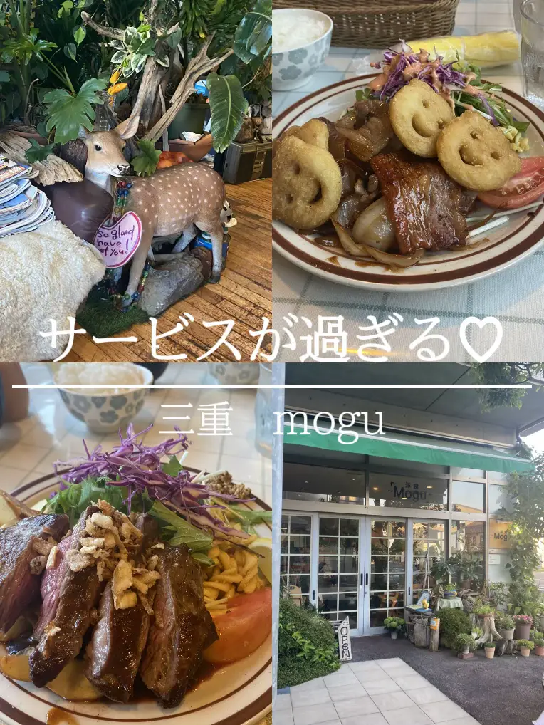 スペシャルランチ(ライス多め) レストランito(いとう)＠三重県伊賀市上野 | いろいろアウトな日々