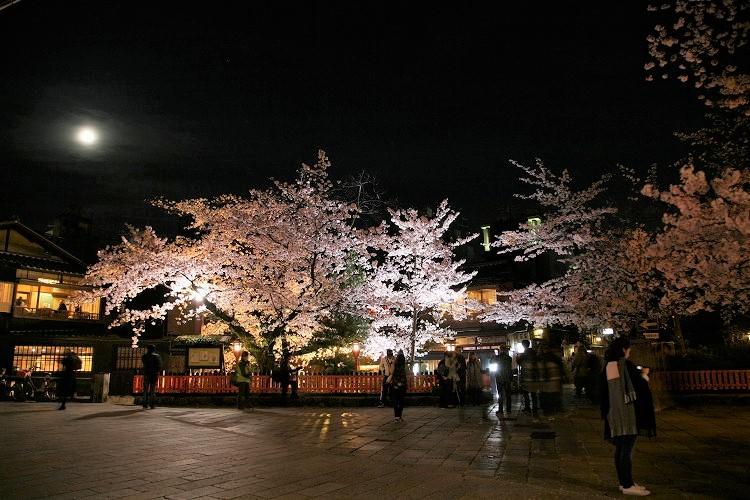 八戸デリヘル 月夜の桜 | 風俗Navi