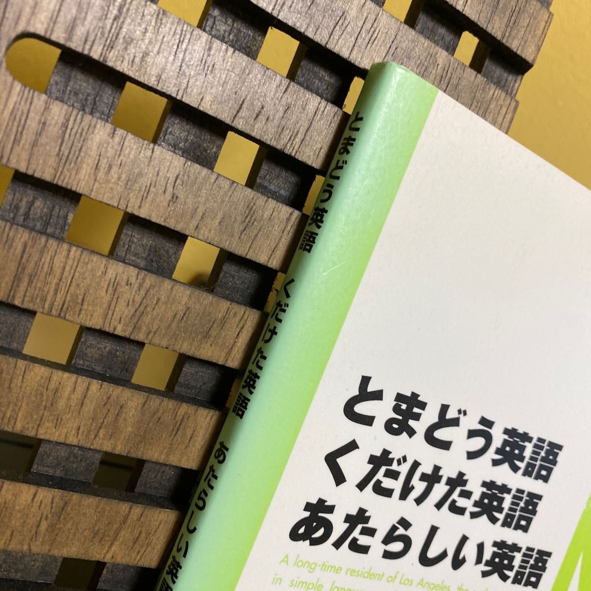 801 切り抜き 中江有里2p