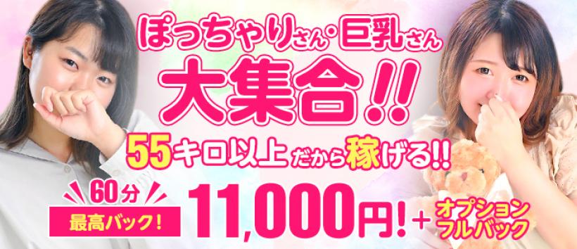 新潟県のぽっちゃり系風俗ランキング｜駅ちか！人気ランキング