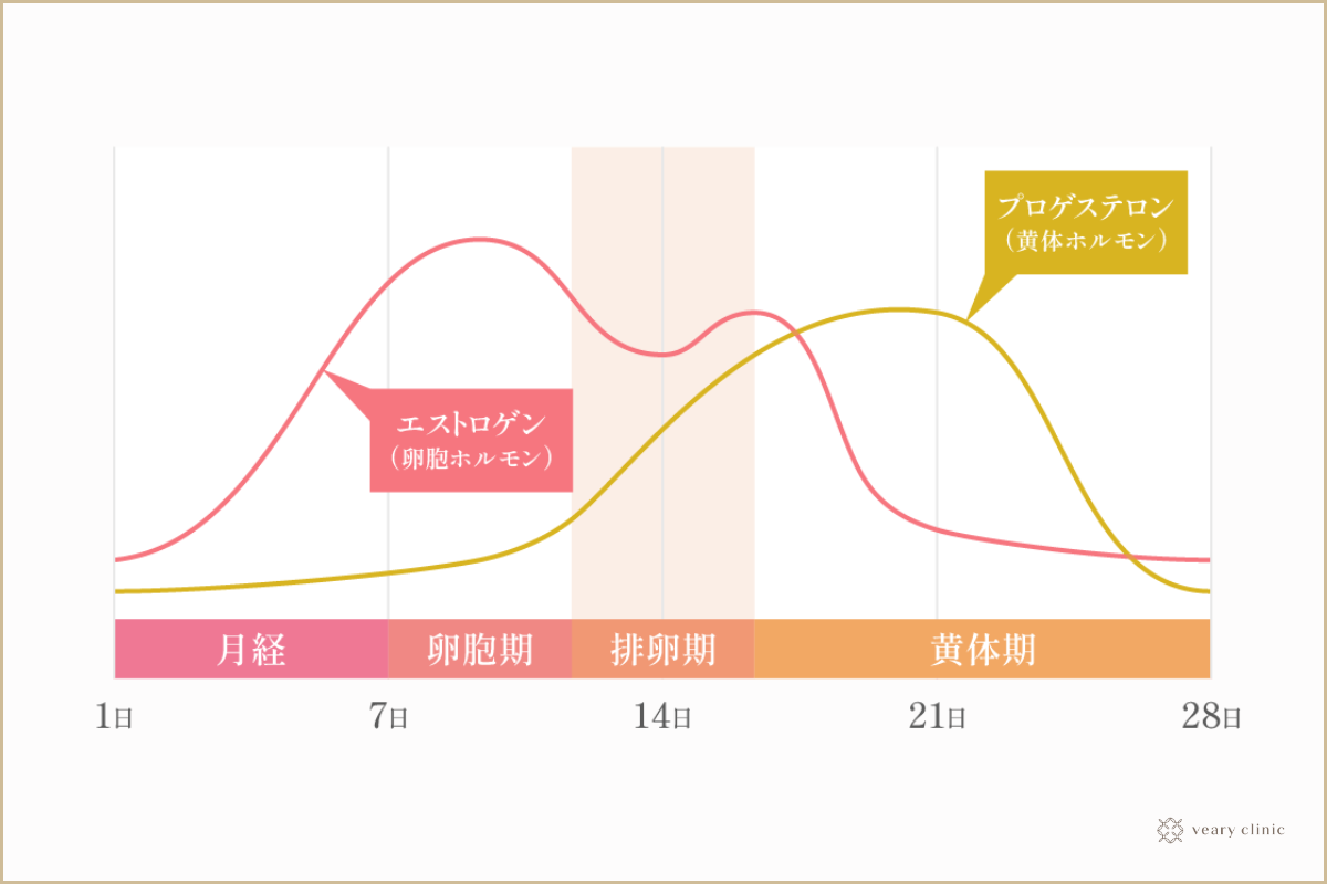 女性の性欲は何歳頃に強くなる？30代から増す？400人に聞いた実態 |【公式】ユナイテッドクリニック