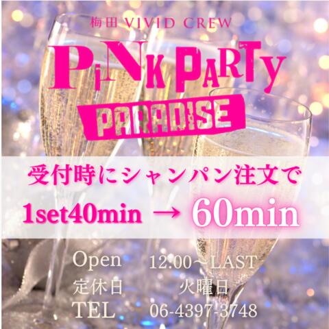 VIVID CREW Pink Party