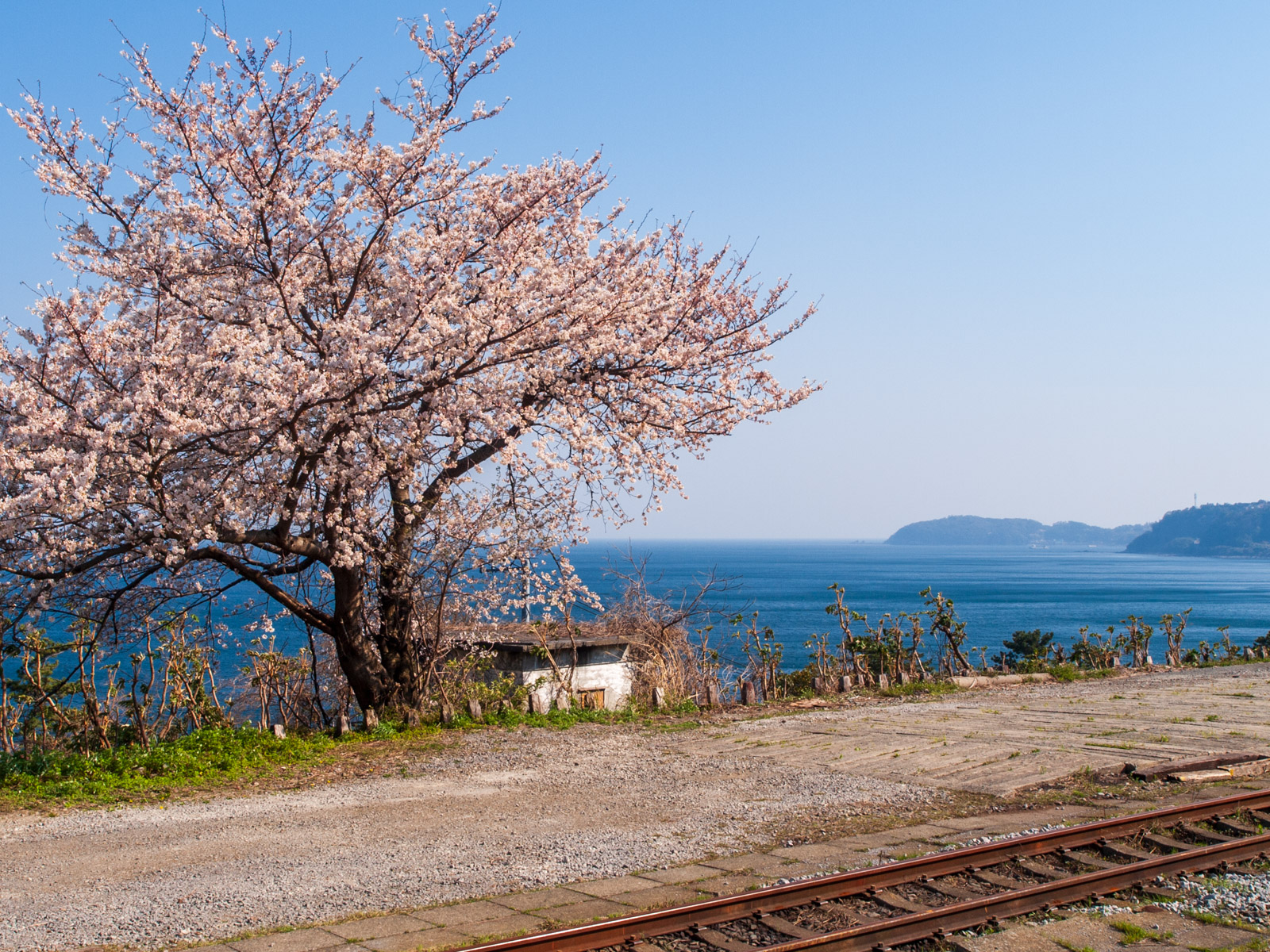 小田原〜熱海間の小さな駅が抜群の癒し風景でエモ散歩できる～根府川編」 - 東京散歩トリビア