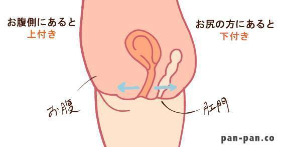 下付きマンコはバックが気持ちイイの♪初めての膣イキ体験をした女子大生ｗ | ギャルロリ学園