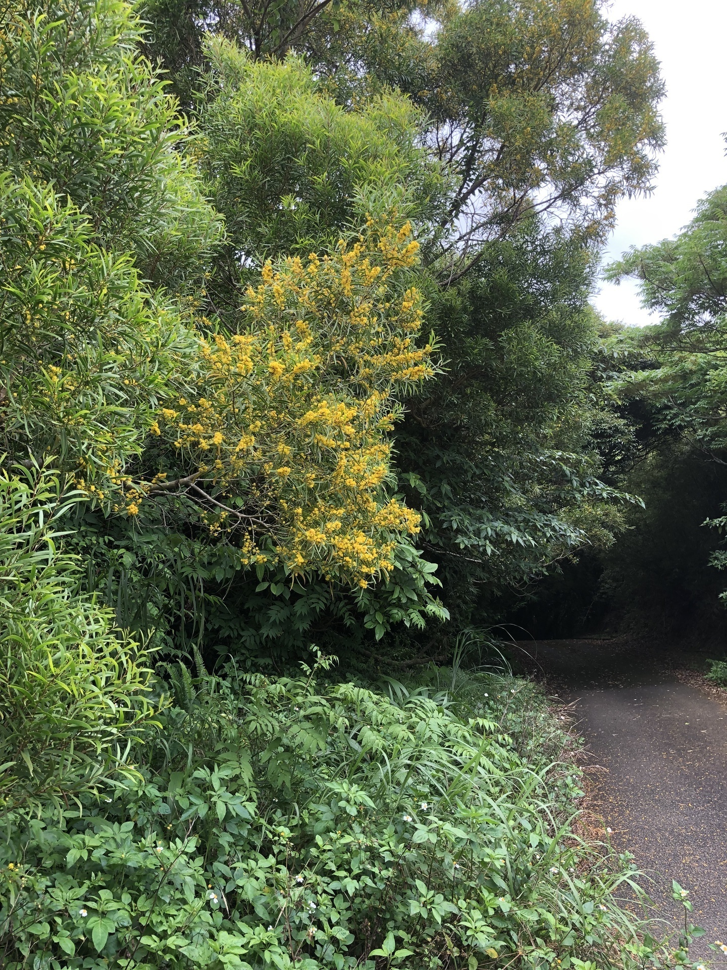 往復ツーリストＡ寝台利用＞☆敦賀～苫小牧（東港）新日本海フェリーで行く北海道／マイカーなし ☆道内の宿泊はANAホリデイ・イン 札幌すすきの （北海道到着日の1泊付）☆出発日と帰着日を含めて5日間の旅(船中2泊)