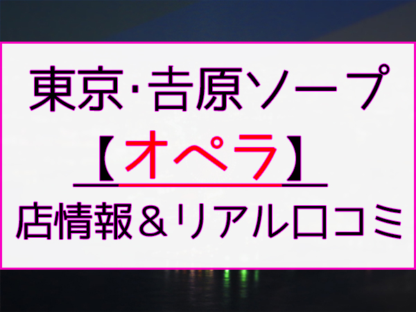 NS体験談：吉原ソープ「鹿鳴館」及川真琴 – 風俗ブログ・体験談｜ガチンポ