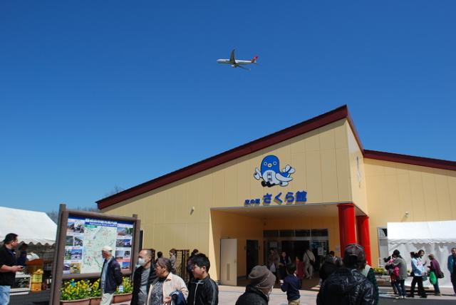 成田市さくらの山の桜（成田市） - お花見2024 - ウォーカープラス