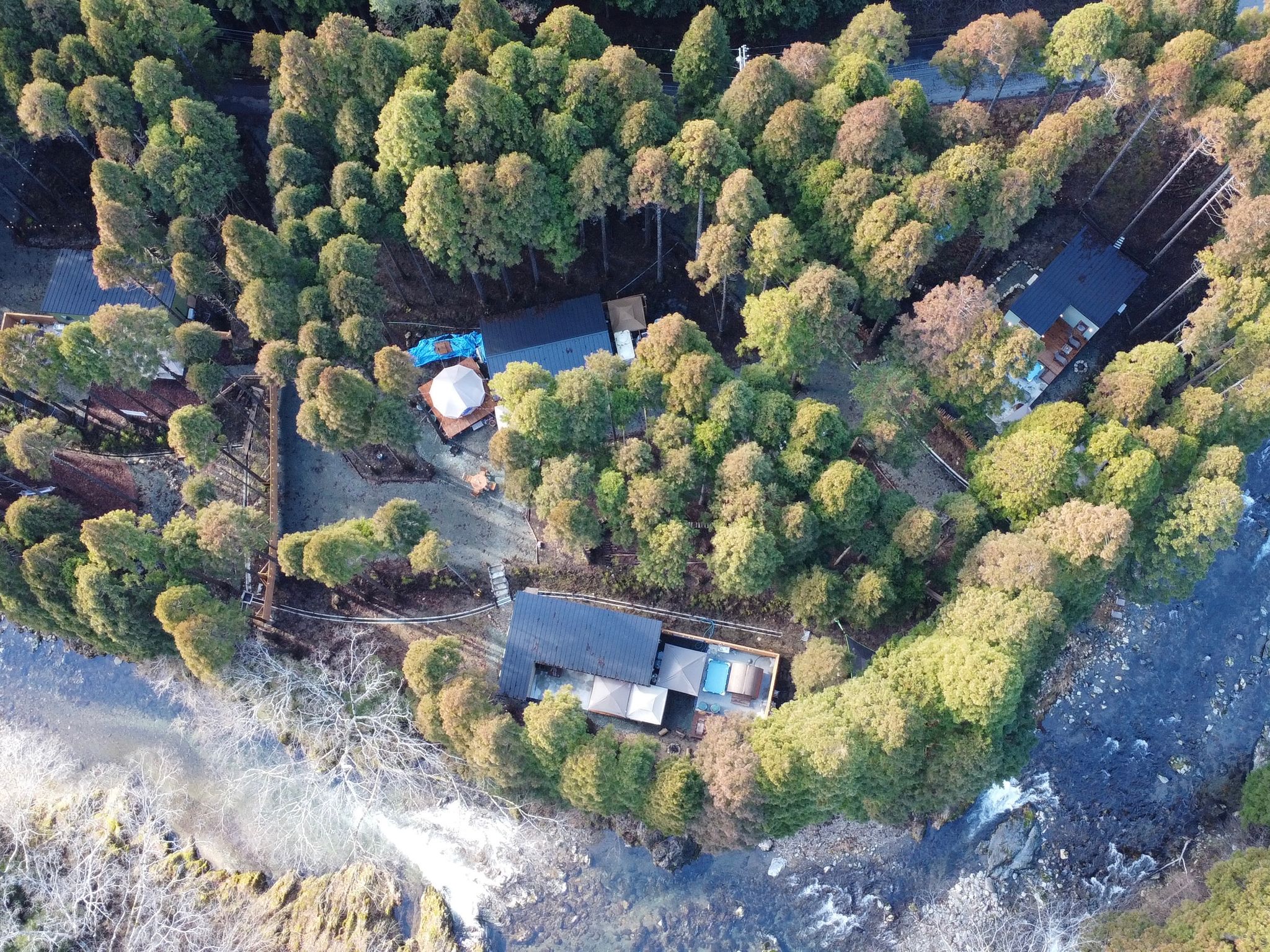 水着 露出 多め