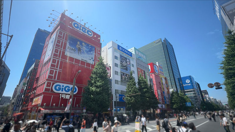 normal day at akihabara station