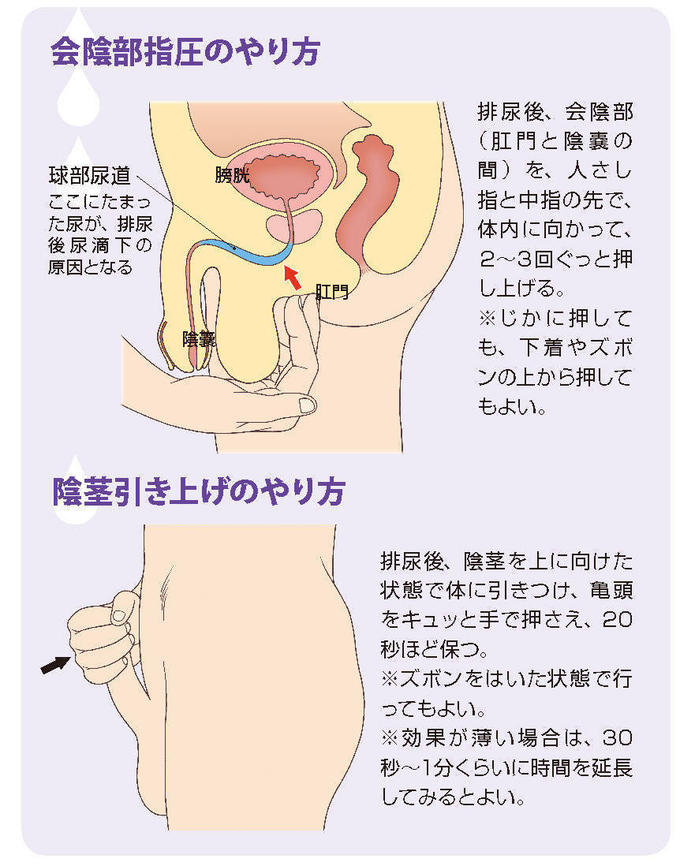 知ってるようで知らない、正しい『アナルセックス』ガイド