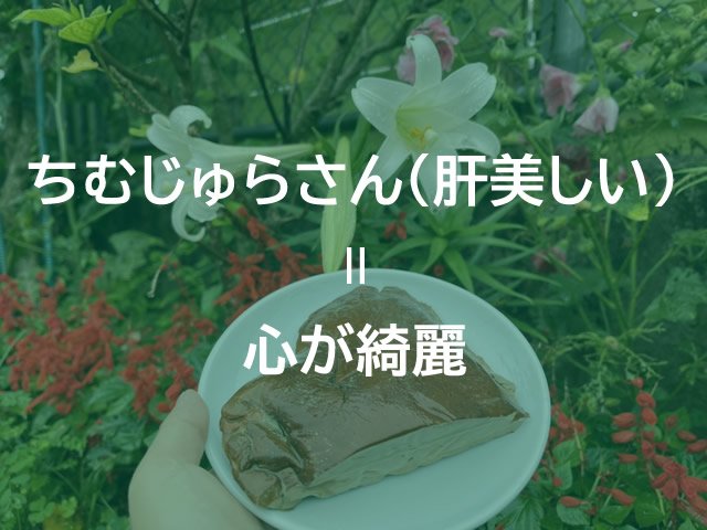 さわさわとわさわさ違いは何ですか？ - 分かるかな～。分かん