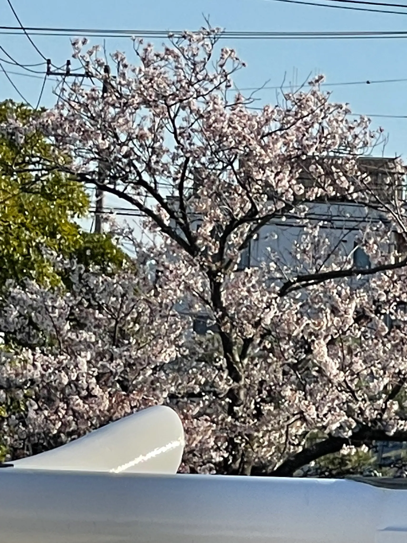 こんばんは、宇都宮市雀宮町のアロマトリートメントサロン、ハンドメイドサロンカムトゥドゥです。 . やる気。