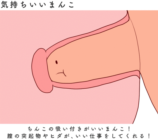 まんこ（女性器）の７つの性感帯攻略マニュアル | セクテクサイト