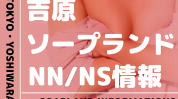 ラビアンローズは吉原で最もおすすめの高級NSソープランド！実際に行って体験談から口コミ評判を纏めてみた