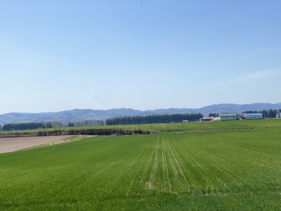 【北海道ドライブ】北見市相内からフラワーパラダイスへ🌸