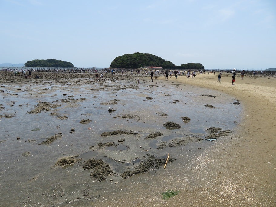 愛知県の三河湾にありました、かつてうさぎと遊んだ「うさぎ島」の今(｡-ω-): 非正規のつぶやき