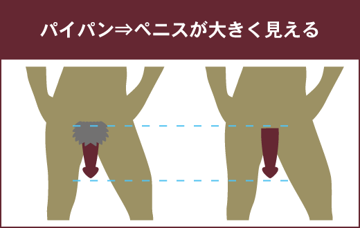 男性がパイパンにするメリットとデメリット！女性からの評判ややり方を解説 | Ray(レイ)