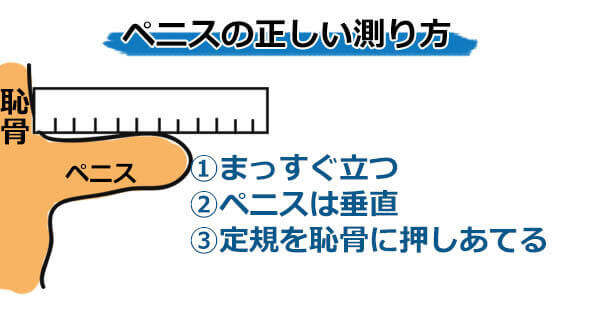 日本人平均は13.56cm？スマホで自分に合ったTENGAが確認できる - 週刊アスキー