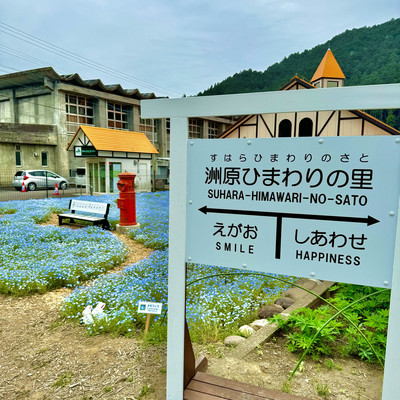 ハピネスひまわりの里 - 八尾市神宮寺/有料老人ホーム