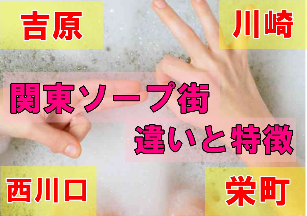 楽天市場】【12月20日限定最大100%ポイントバック】パックスナチュロン ボディーソープ 泡ボトル 500ml