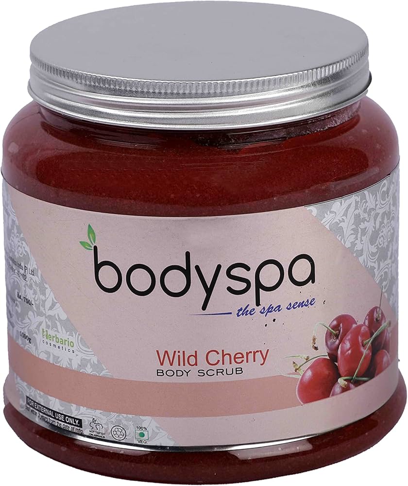 BodySpa Adventure RV Handheld