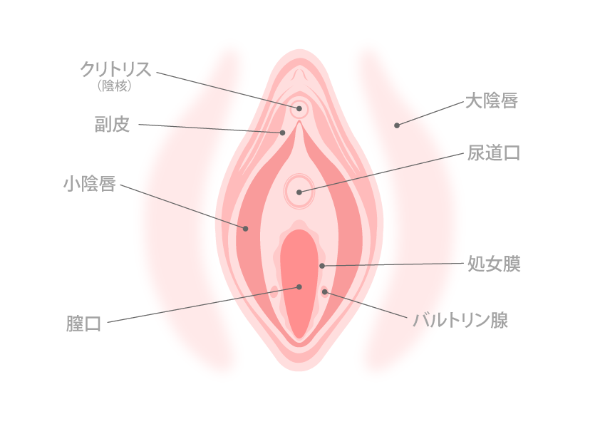 クリトリス吸引バイブが気持ちいい♡吸うやつの人気おもちゃランキングTOP18 | オトナのハウコレ